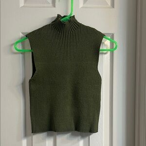 Zara Ribbed Knit Cropped Turtleneck
